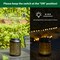 Set of 2/4 8.75"H Metal Cutout Flower Solar Powered Outdoor Hanging Lantern with LED Light